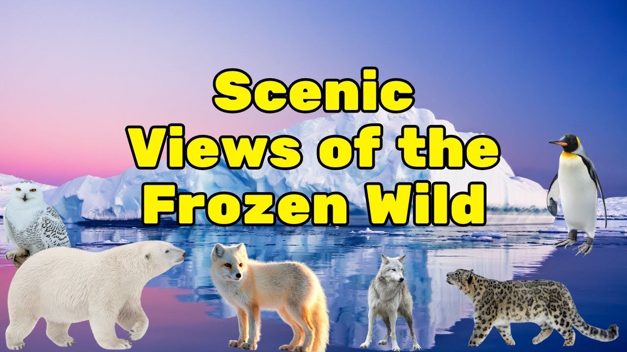 "Scenic Views of the Frozen Wild" 