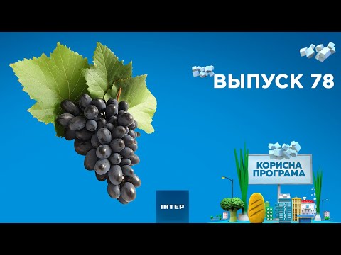 Как выбрать сладкий виноград | «ПОЛЕЗНАЯ ПРОГРАММА». Выпуск 78 — 15.09.2020