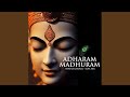 Adharam madhuram lofi mix