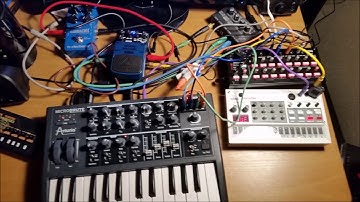 Microbrute fun with sequences and delay