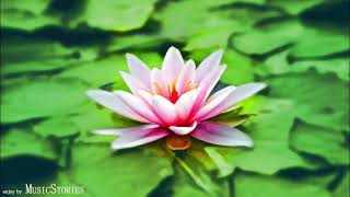 Meditation 15min of Zen Garden