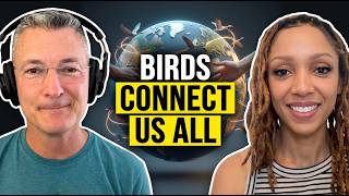 Why Migratory Birds Need Our Lights Out at Night