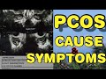 PCOS |LEARN ABOUT POLYCYSTIC OVARIES | CAUSE &amp; SYMPTOMS