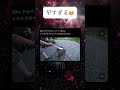 2回見ちゃったw #shorts #おもしろ #自然 #衝撃 #映像