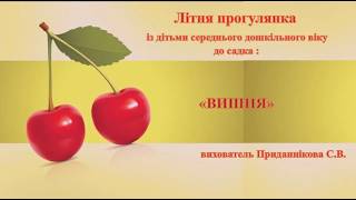 Заняття для дітей 4–6 років«Вишневий оберіг України: від смачної ягідки до символу родини»