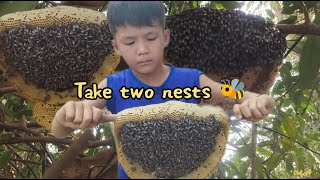 Take Two Nests  មួយភ្លែតពីសំបុក #part5