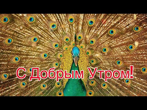 Умейте Друг Друга Беречь! Красивое Пожелание! Музыка Сергей Чекалин!Музыкальная Открытка!
