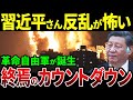 【総集編】中国で革命自由軍が誕生!反乱を恐れる習近平が限界突破!