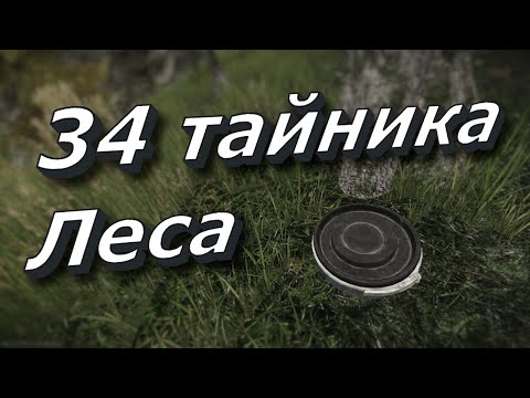 Видео: Тайники Леса (34 штуки) Гайд для новичков Escape from Tarkov
