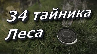 Тайники Леса (34 штуки) Гайд для новичков Escape from Tarkov