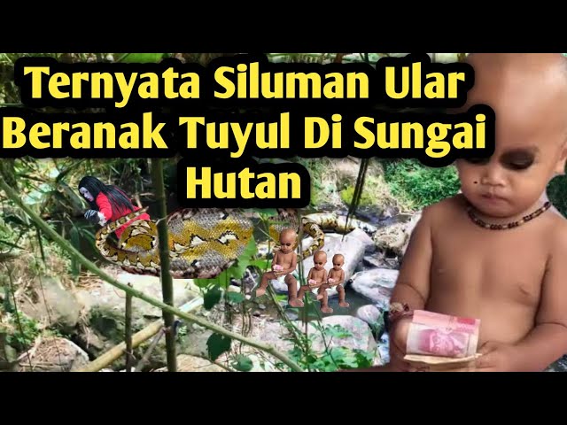 Viral Terbaru Gegerkan Warga.! Ternyata Ular Siluman Beranak Tuyul Di Sungai Hutan class=