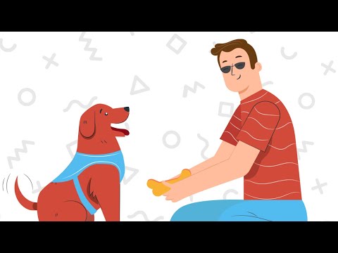 Vídeo: Día Internacional Del Perro Guía: 9 Historias Inspiradoras Sobre Perros Guía &#91;VIDEOS&#93;