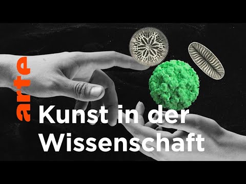 Video: Warum ist Ernst Haeckel berühmt?