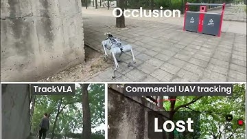 TrackVLA: Embodied Visual Tracking in the Wild