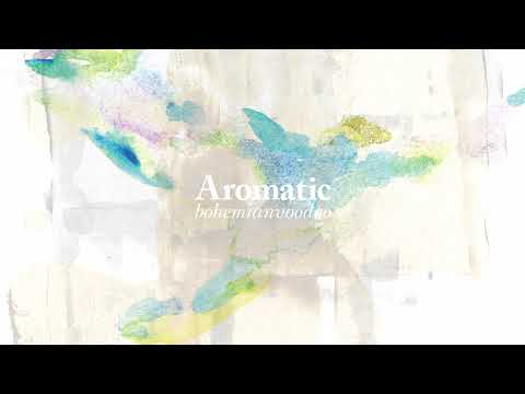 bohemianvoodoo - El Ron Zacapa (Official Audio)
