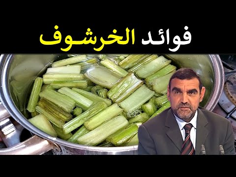 فيديو: الخرشوف - خصائص وموانع مفيدة