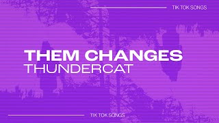 Thundercat - "Them Changes" | TikTok