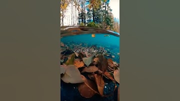 اللذين يبخلون سورة الحديد شريف مصطفى حالات واتس اب دينية قرآن كريم اجمل لأصوات