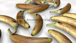 3D Banana Flyover Motion Video