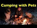 Winter Camping with my CAT & DOG | Bushcraft Shelter