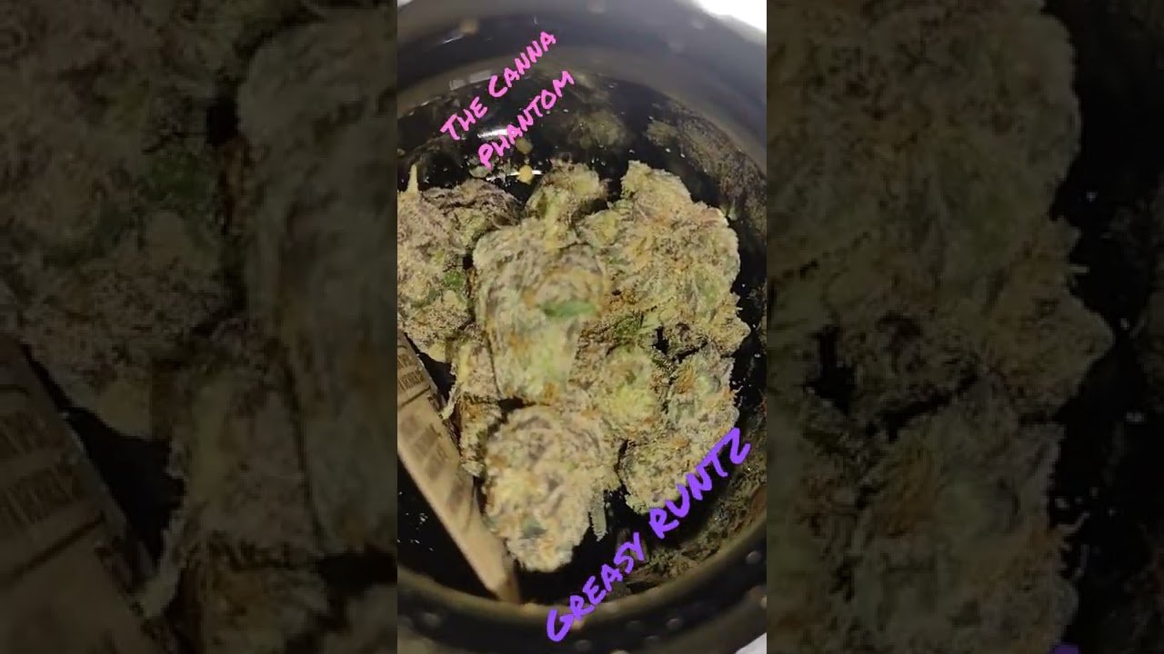 Exotic Genetics 🧬