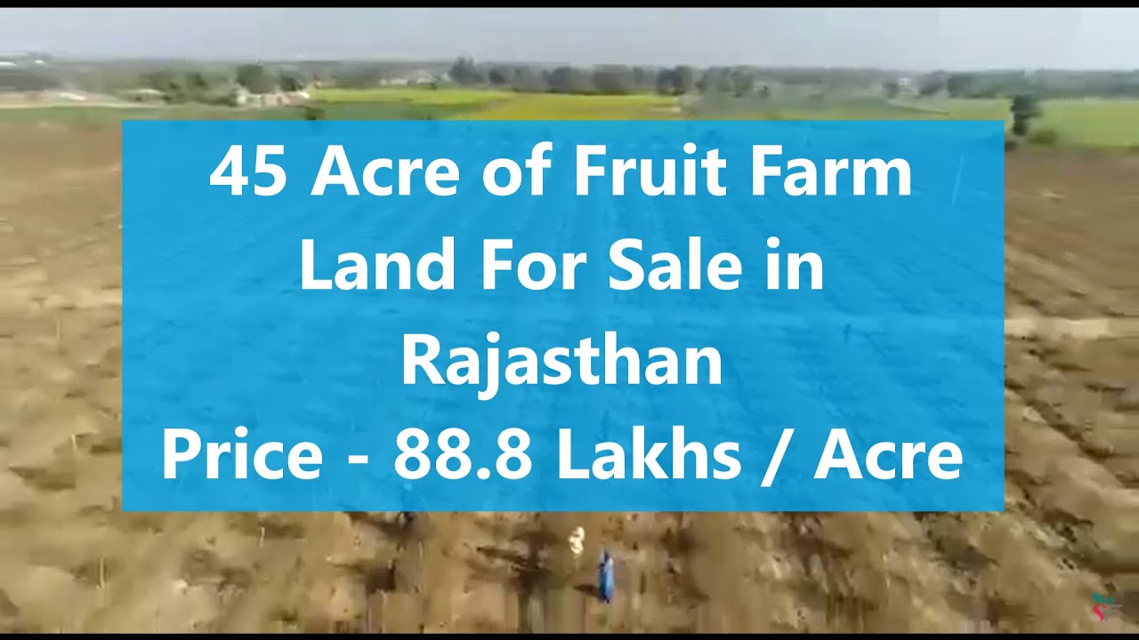 Rajasthan 45 Acre Of Fruit Farm Land For Sale Located At Pindwara