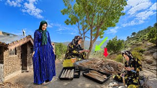 Famous Inside the Mountain Shelter of a Brave Nomadic Mother 😳⛰️ Net Worth