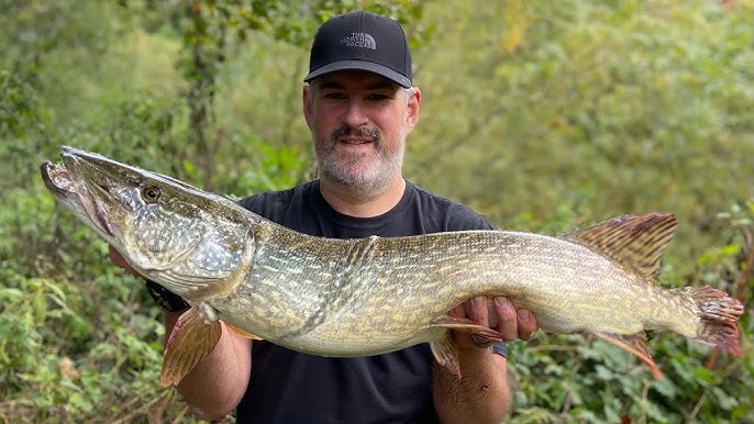 BARBED or BARBLESS HOOKS? Barbless catch MORE FISH! 