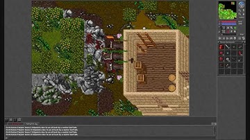 Tibia Bot Killing / Trapowanie botów #18