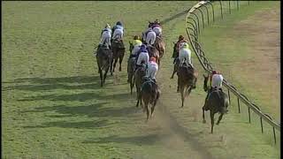 20190622 - 2019 KZN Derby Scottsville Race 7 won by ROY HAD ENOUGH