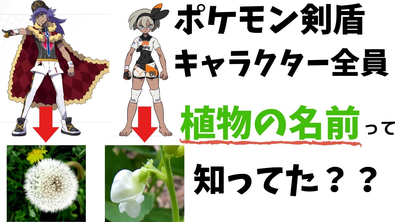 ポケモン剣盾 キャラクターの名前がすべて 植物 から来てるって知ってた ポケットモンスターソード シールド Youtube