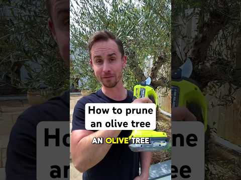 How to prune