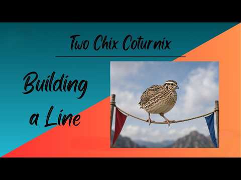 Building a Line