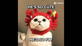 Download Lagu Kenapa You CUTE Sangat MP3