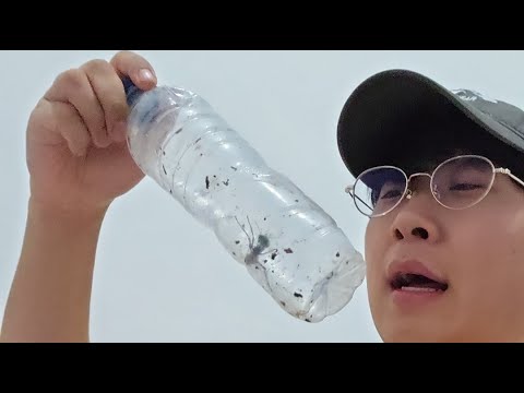 <strong>수마트라</strong> 왔습니다 잠시 소통해요! 기가스 왕개미