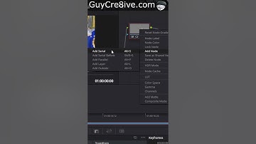 Blur Multiple Faces DaVinci Resolve 20 👆 Full