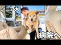 【今しかない時間】病気と向き合って2年が経ちました
