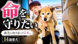 【今しかない時間】病気と向き合って2年が経ちました