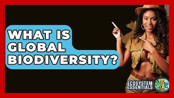 What Is Global Biodiversity? - Ecosystem Essentials