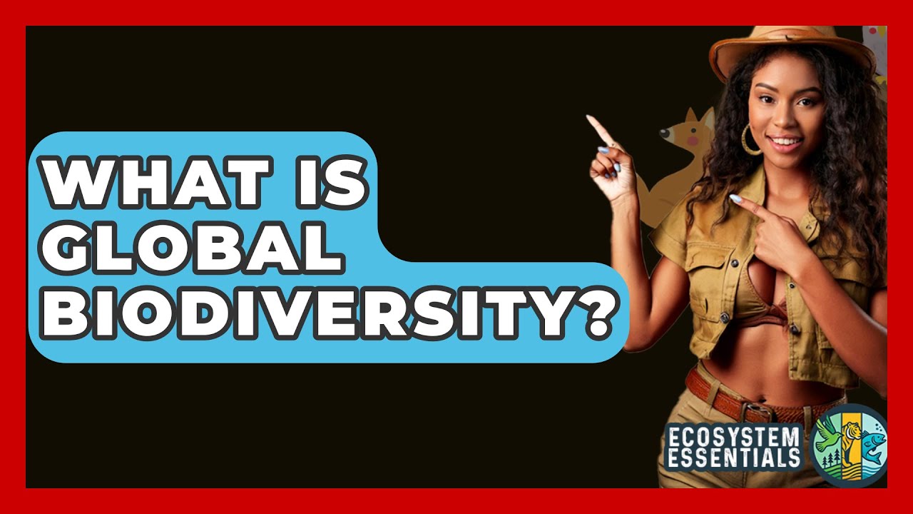 What Is Global Biodiversity? - Ecosystem Essentials