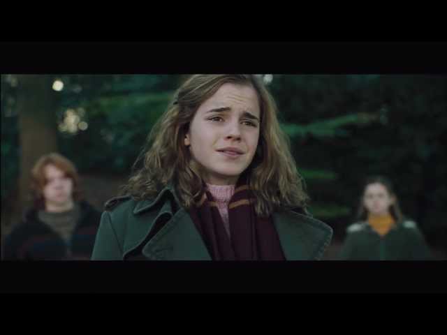 Harry and Neville at the Lake - Harry Potter and the Goblet of 