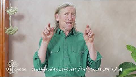 Free Foraging Guide + ‘Valuing the Marginal’ with David Holmgren | Milkwood