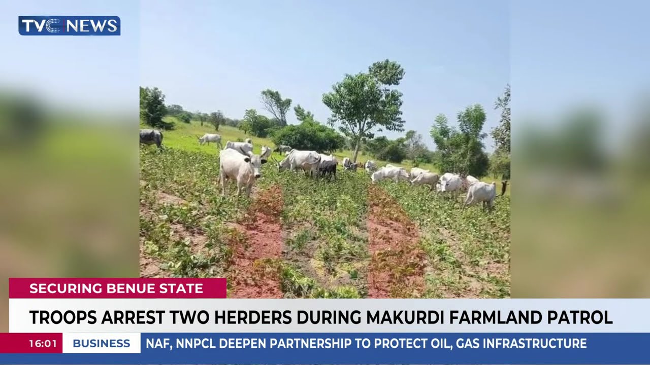 Troops Arrest Two Herders During Farmland Patrol In Benue