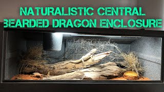 Naturalistic CENTRAL BEARDED DRAGON Enclosure Setup! SONIC GETS AN UPGRADE!