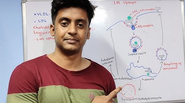 Receptor-Mediated Endocytosis | ldl uptake | csir net life science