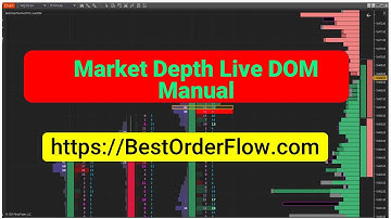Market Depth LiveDOM BestOrderFlow https://bestorderflow.com