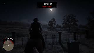 I HATE IT WHEN THIS HAPPENS! : Red Dead Redemption 2