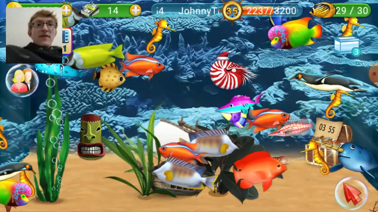 Fish Live Gameplay Ep.1