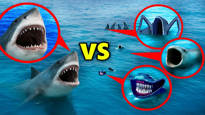 MY DRONE CATCHES MEGALADON vs SEA EATER, EL GRAN MAJA AND BLOOP — They COLLIDED in the Ocean!