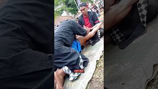 Download Lagu ngarep mburi tambani #jarananndadi #jaranan #jathilankeren #jathilanndadi #kudalumping MP3